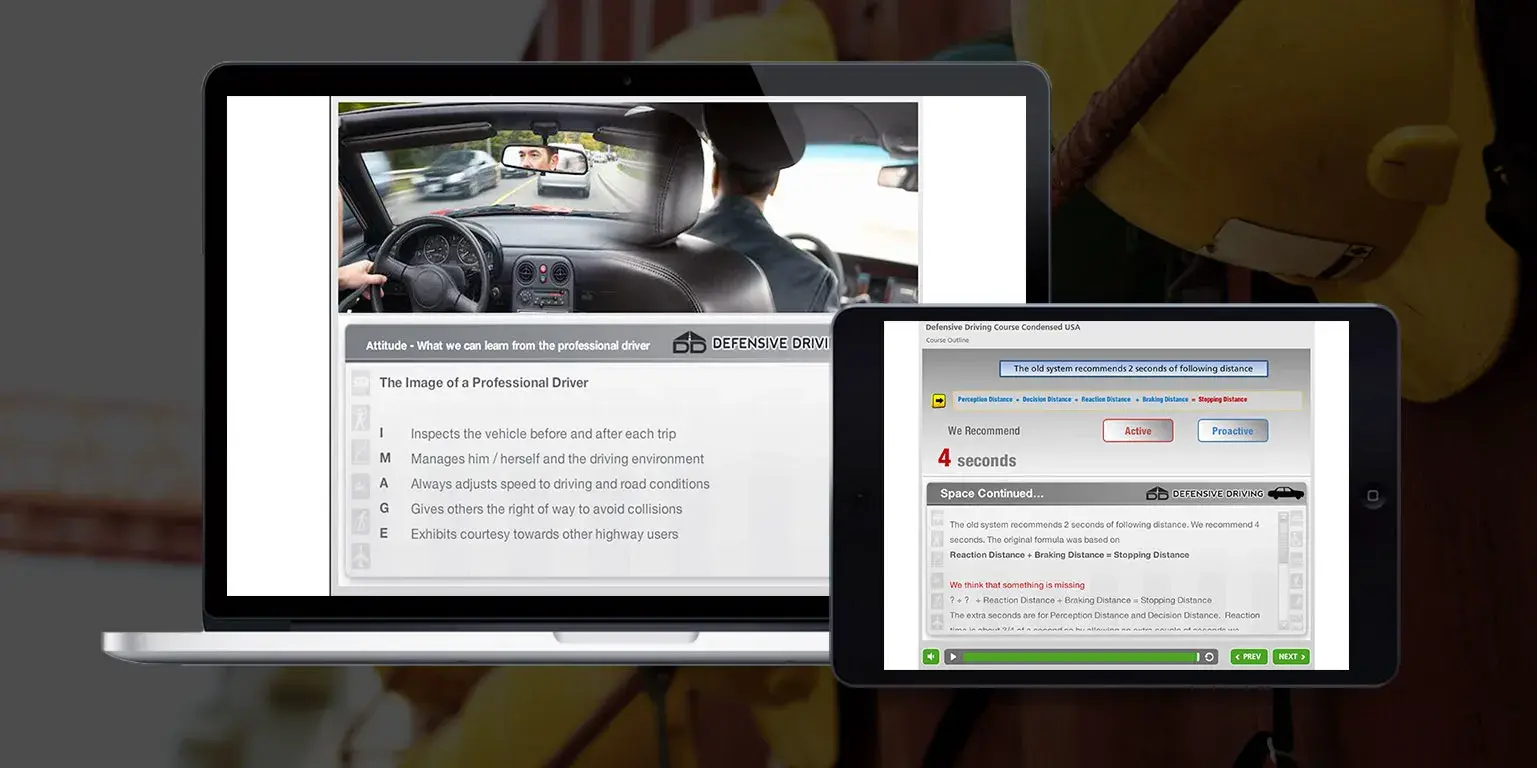 Defensive Driving Condensed Online Training (USA version)
